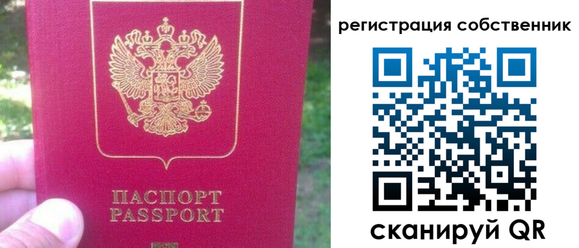 временная регистрация 2025 в Губкинском